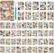 900Pcs - Ephemera Scrapbook Sticker (Brown) 5.1 x 7.1 x 0.4 inches